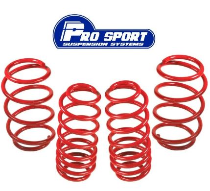 DE lowering springs image 0